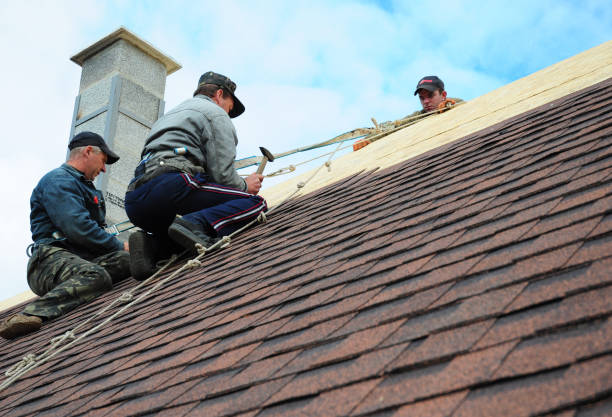 Best Gutter Installation and Roofing  in Falls City, OR
